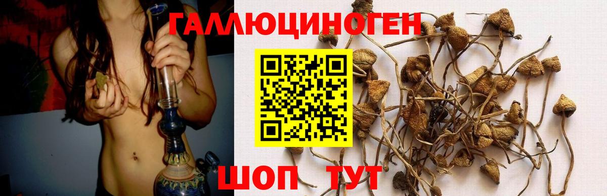 Галлюциногенные грибы прущие грибы  Вход с VPN  Родники 